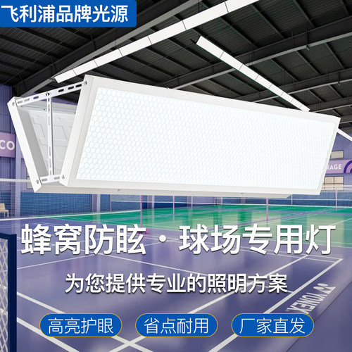 LED防眩无影蜂窝羽毛球馆专用灯