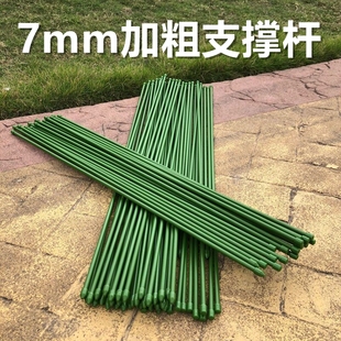 金钱树支架园艺植物攀爬支撑扶植支架支撑杆护叶花架扶枝铁立柱管