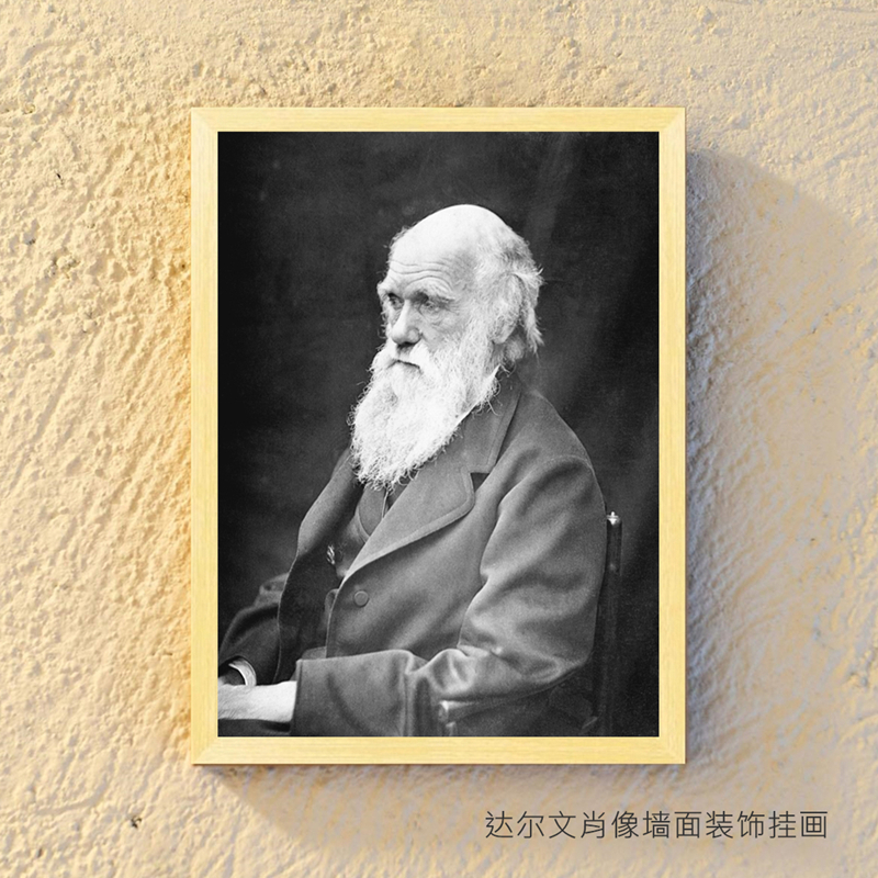 黑白历史人物肖像挂画墙面装饰画