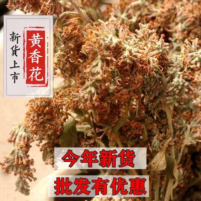 2024年广西野生新鲜花五色染料染饭花黄色糯米饭黄花饭黄饭花包邮