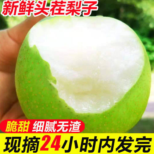山东特产梨子10现摘当季新鲜水果整箱翠冠梨青梨酥梨特价5斤包邮