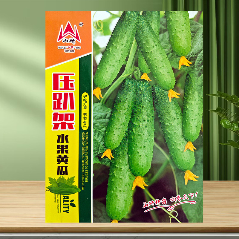 水瓜黄瓜旱黄瓜种子白皮秋黄瓜种籽春季夏秋季四季播盆栽阳台包邮
