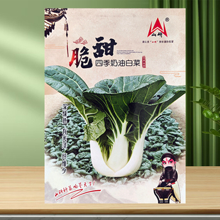 奶白菜种籽矮脚奶白菜种子黑菜青菜籽大田秋冬季阳台盆栽四季播蔬