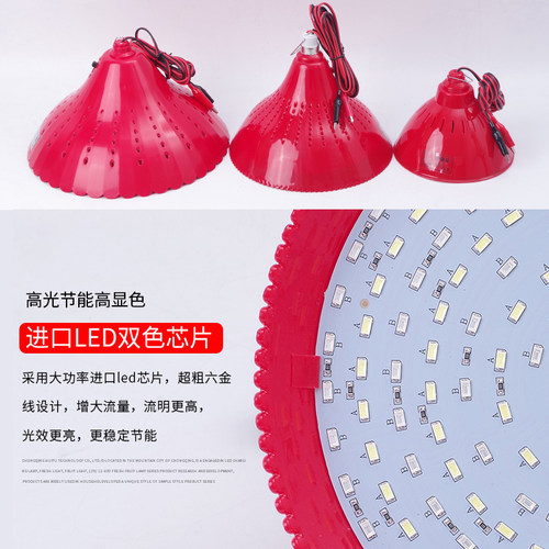 12v电瓶电动车夜市摆摊led应急灯