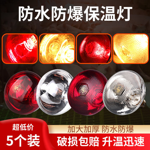 猪博士保温灯仔猪小鸡保暖灯