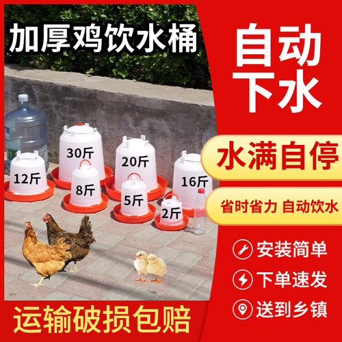 鸡饮水器喂水器养鸡饮水桶鸡鸭鹅