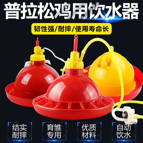 雏鸡普拉松用品自动饮水器