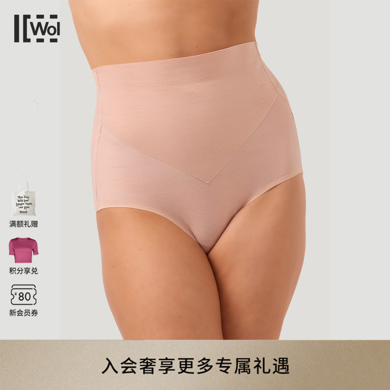 【当季新品】Wolford/沃尔福特3W Control轻盈束形高腰内裤61494