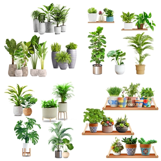 3d立体小清新绿植遮丑墙贴纸仿真盆栽北欧装饰补洞污垢划痕墙贴画