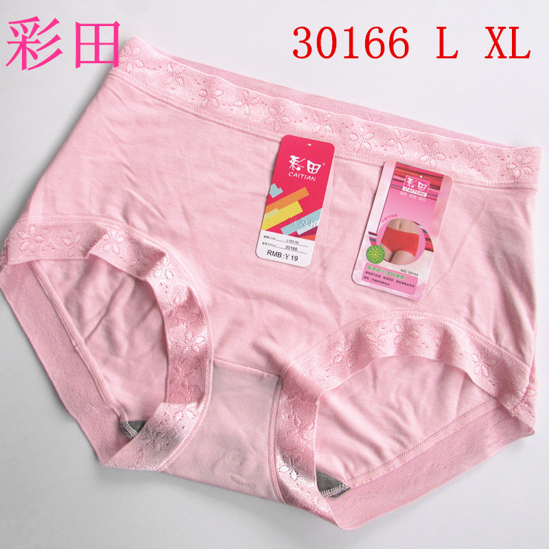 4条包邮正品彩田内裤 女纯棉高腰莫代尔棉柔软舒适无痕女士平角裤