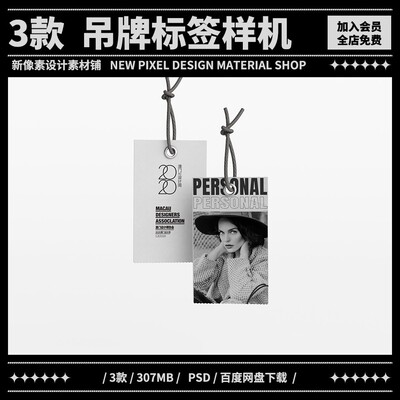 3款品牌服装标签吊牌价格牌样机vi提案贴图mockup素材可改色