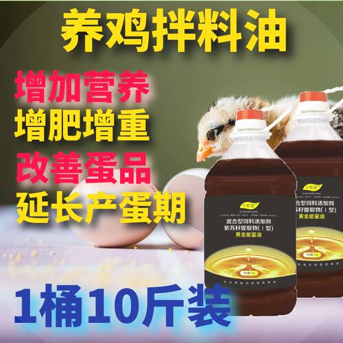 黄金能量油养鸡拌料油延长产蛋期