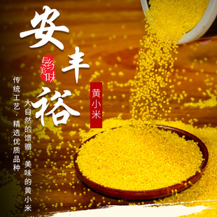 当季新米食用小米安丰裕小米5斤装小米粥曲周特产五谷杂粮小粒米