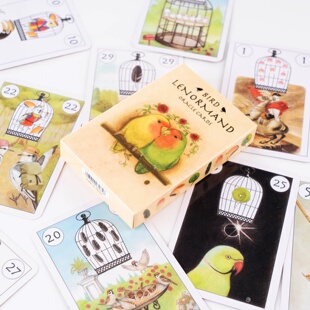 很能打的小鸟鹦鹉雷诺 寓意深刻的鹦鹉利诺曼卡牌 bird lenormand