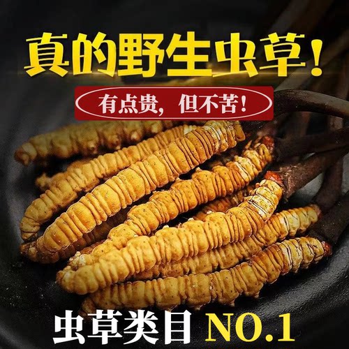 2025正宗冬虫夏草藏区正品