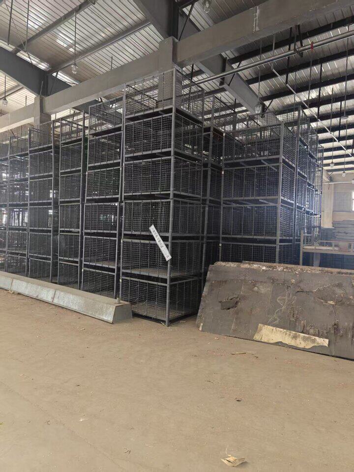 4月25日吉林市食品公司铁制粮食暂存筐网络拍卖公告