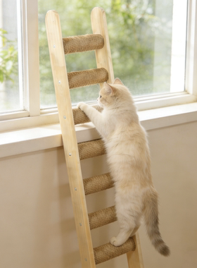 猫爬梯猫窝柱梯攀爬架宠物台阶楼梯猫笼小梯子猫别墅猫木柜猫爬架