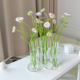 饰品高级感 创意爱心试管花瓶摆件水培鲜花绿植插花固定器客厅装