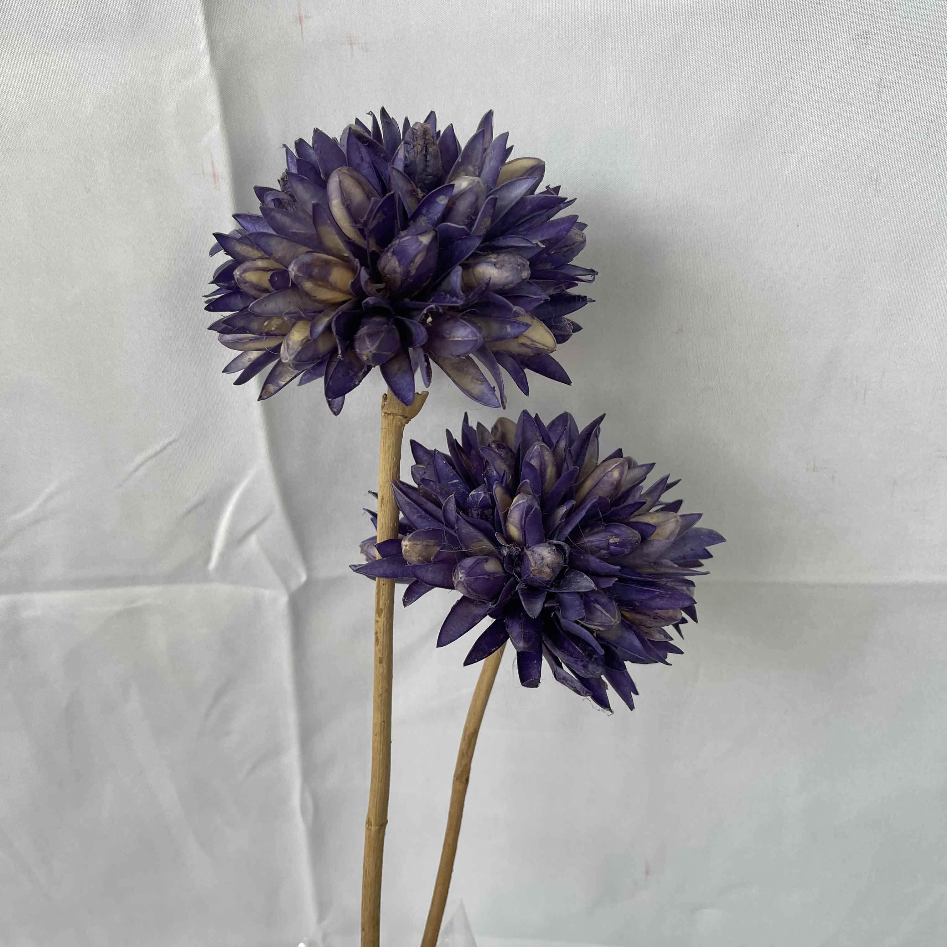 家居云南干花干花永生diy