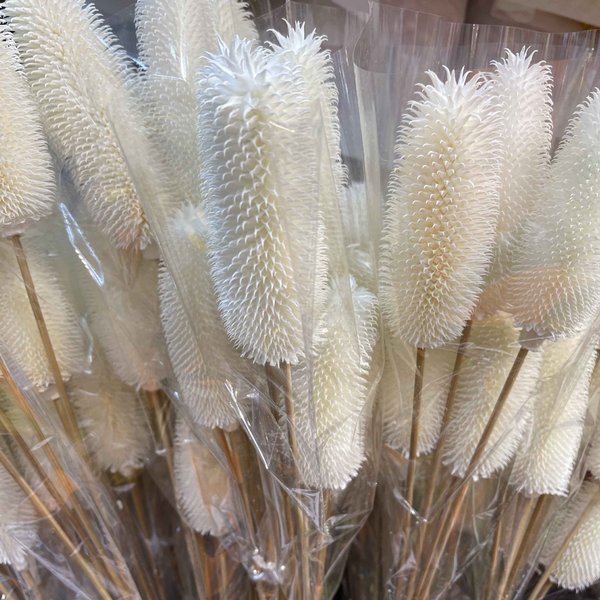 拉毛果干花插花装饰摆件软装长寿果蓟果家居客厅拍照道具仿真花图片