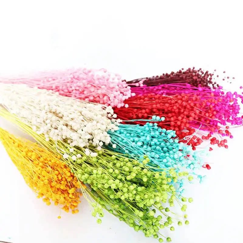 相思豆干花富贵豆干花