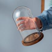 永生花蝴蝶标本玻璃罩圆球形应援棒手办摆件EVA防脱落炭烧卡扣底