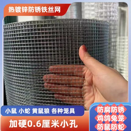 热镀锌电焊防鼠防猫网养鸟网护栏网养殖网抹墙网铁丝网窗户阳台网