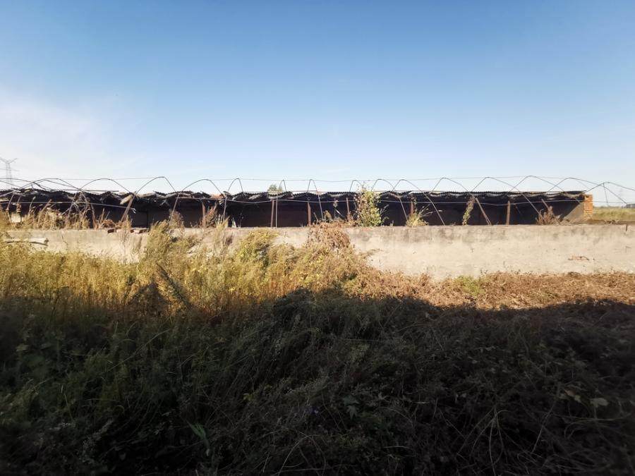 2月3日松原库房土地及地上附属物网络拍卖公告