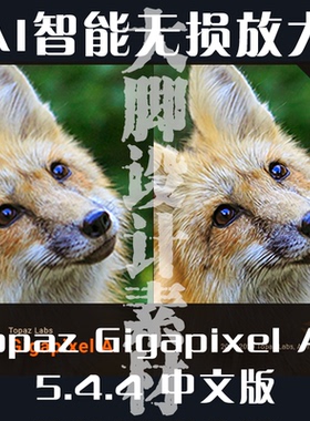 Topaz Gigapixel汉化版AI智能图片无损放大修复画面模糊变清晰