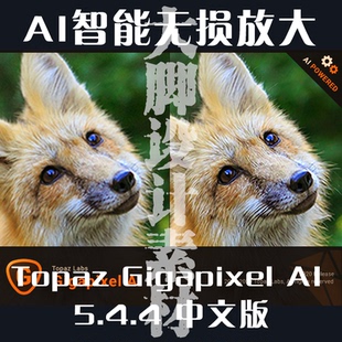 Topaz Gigapixel汉化版AI智能图片无损放大修复画面模糊变清晰