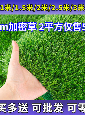 人工仿真草坪地毯人造草皮绿色户外装饰假草塑料铺垫子阳台幼儿园