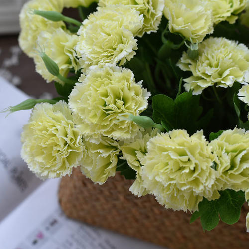 仿真花康乃馨花束花瓶教师节单支