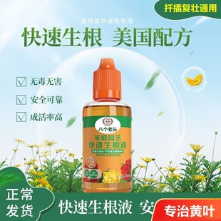 快速生根液生根粉剂浓缩营养液扦插灌根水培园艺绿植物通用生根剂