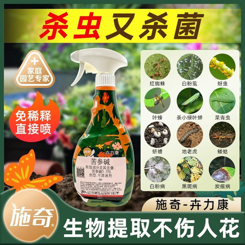 苦参碱月季黑斑病花卉杀虫剂施奇