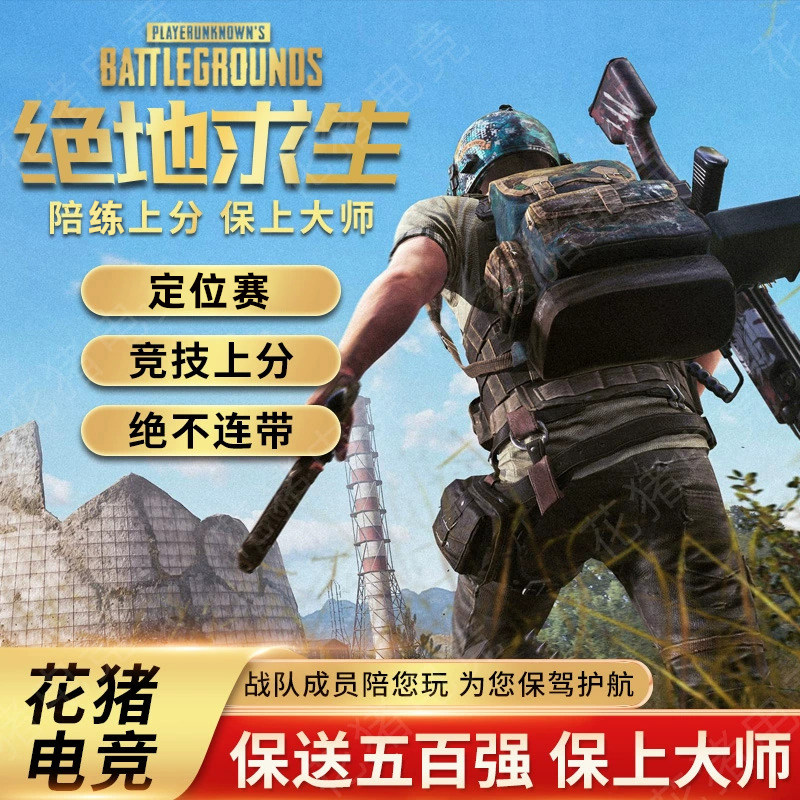 绝地求生PUBG陪玩上分车队冲大师