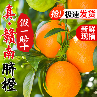 正宗赣南脐橙寻乌产地直发