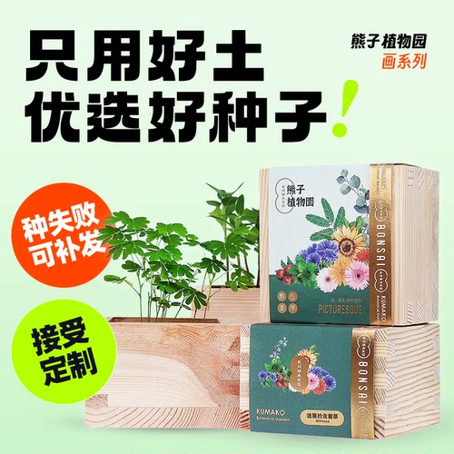 日式木盒盆栽熊子植物园桌面植物