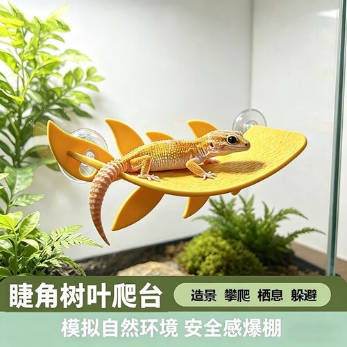 爬宠树叶爬台睫角攀爬趣味吸盘饲养缸造景休息台跨境代发XJ