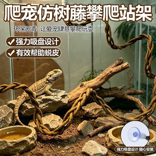 爬宠树藤攀爬架吸盘造景攀爬绳睫角守宫蜥蜴休息站架跨境代发XJ