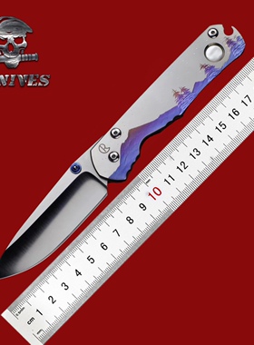 Chris Reeve 美国克里斯·里夫CR Large Sebenza 大标沙夜空镶嵌