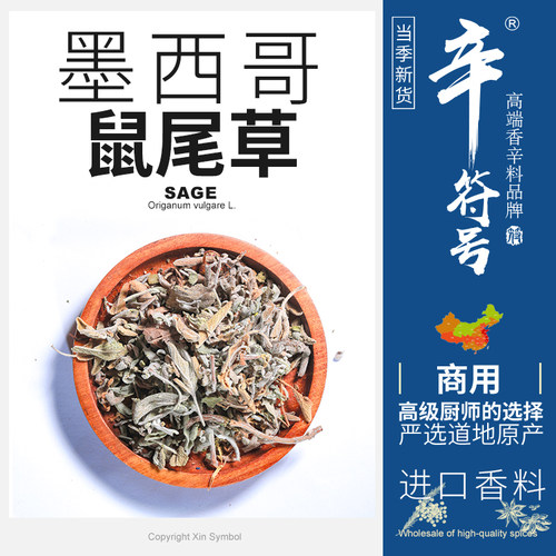 鼠尾草 墨西哥进口白鼠尾草 牛至迷迭香马郁兰欧芹百里香组合