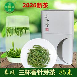 2026新茶头采芽茶泰顺特级针形三杯香绿茶浙江温州早茶礼盒装茶叶