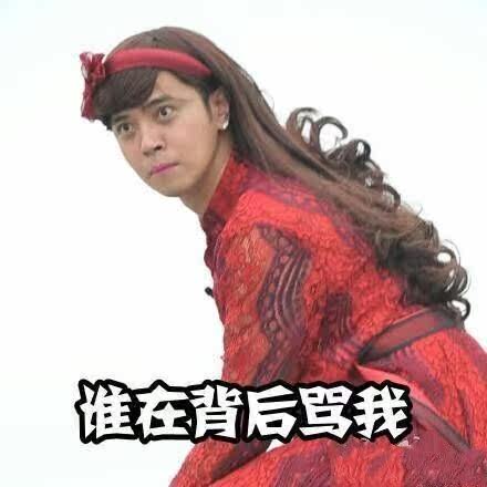 Perruque Les cheveux longs - Ref 2610029 Image 5