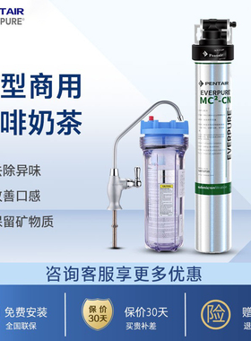 爱惠浦（Everpure）MC2净水器商用净水机 咖啡奶茶店自来水净水器