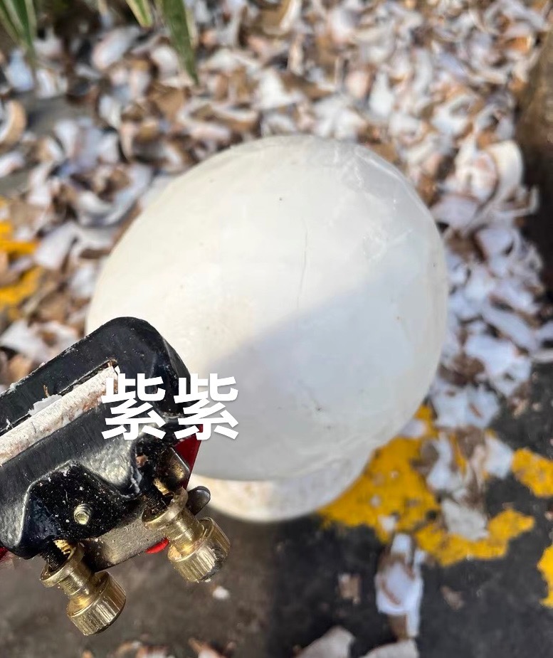 椰子专用削皮刀去皮剥皮刨皮器 左撇子拔老椰子皮 五金椰子工具