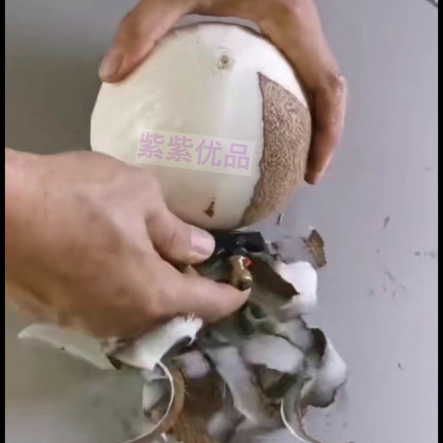 椰子工具 椰子削皮刀 剥皮器椰子刀 椰子刨刀工具 拨去椰子皮器