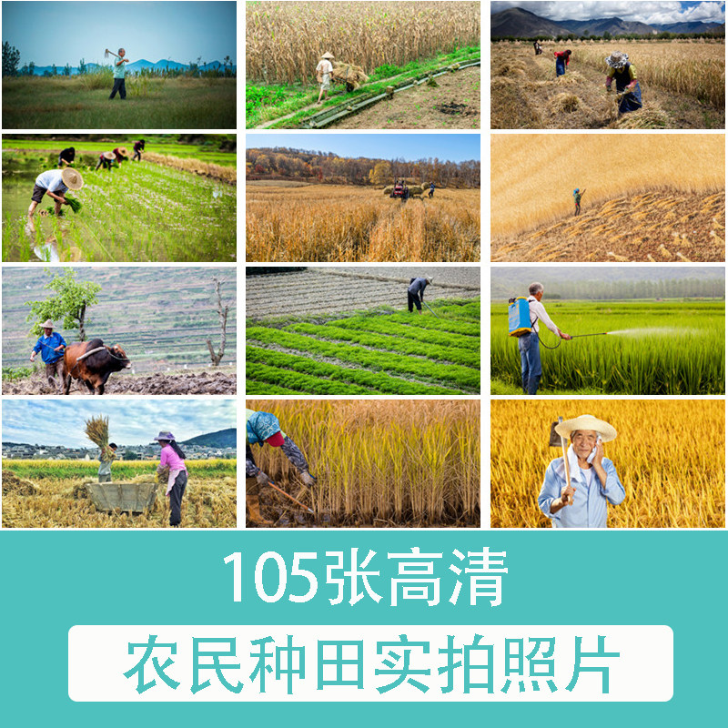 zp343农耕农民种田 照片摄影jpg高清图片杂志画册海报设计素材