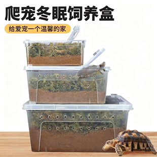 乌龟冬眠箱爬虫饲养盒子苔藓椰土蜘蛛角蛙蜥蜴蜗牛昆虫小型饲养箱