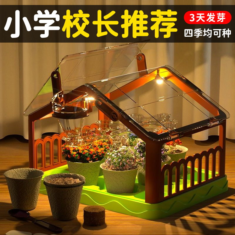 【三天发芽四季可种】阳光花房