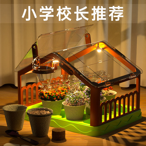 2025益智儿童治愈系种植礼物！